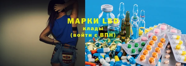 прущие грибы Навашино