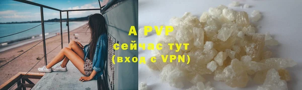 индика Абинск