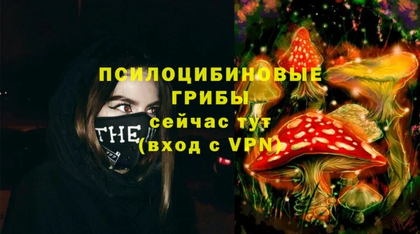 а пвп мука Абаза