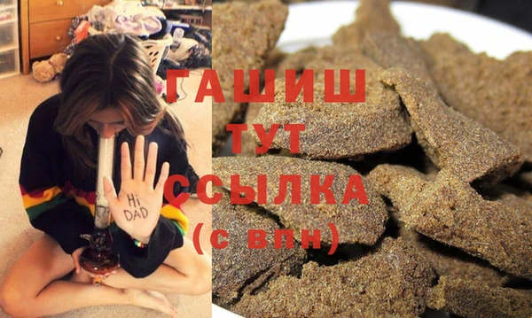 индика Абинск