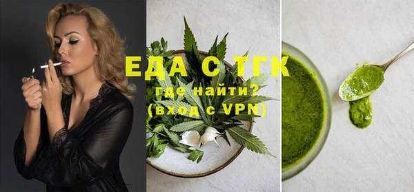 индика Абинск