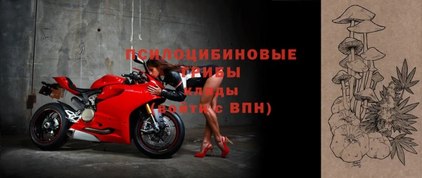 а пвп мука Абаза