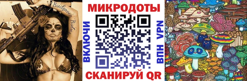 Псилоцибиновые грибы Psilocybine cubensis  Правдинск 